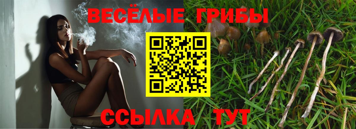 купить наркоту  Псилоцибиновые грибы Psilocybine cubensis  Вход с VPN  Солнечногорск  Псилоцибиновые грибы Magic Shrooms 